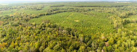 Johnston Highway, Trenton, SC 29847