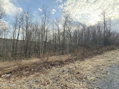 Summit Woods Rd, Moscow, PA 18444
