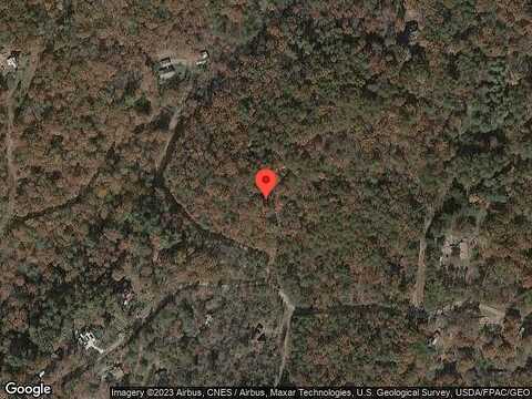 Black Bear, CLEVELAND, GA 30528