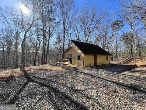 Black Bear, CLEVELAND, GA 30528