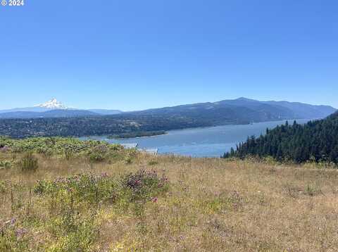Sterling Blvd, White Salmon, WA 98672