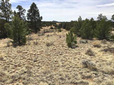 Lot 682 Che Loop, Ramah, NM 87321