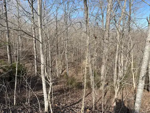 Lot 63 E Willow Point Rd, Monticello, KY 42633