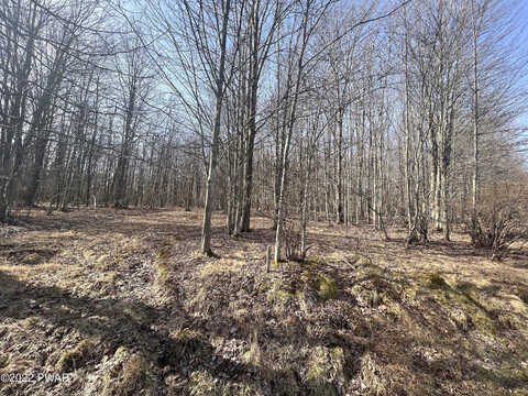 Lot 394 Snowshoe Cir, Lake Ariel, PA 18436