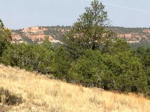 Lot 3 Sunflower Dr, Ramah, NM 87321