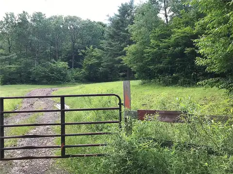 Seedorf Rd, Bovina Center, NY 13740