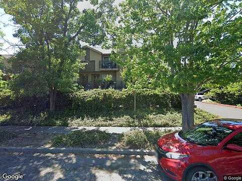 Pear Tree, NAPA, CA 94558