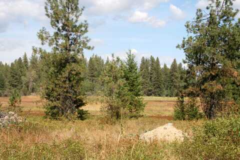 Little Sweden Rd, Valley, WA 99181