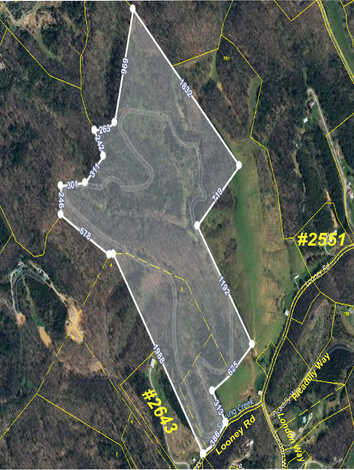 Looney Rd Off, Parrottsville, TN 37843