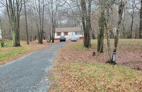 Wild Laurel, LONG POND, PA 18334