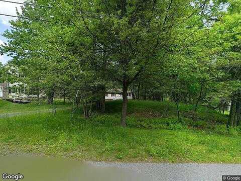 Wild Laurel, LONG POND, PA 18334
