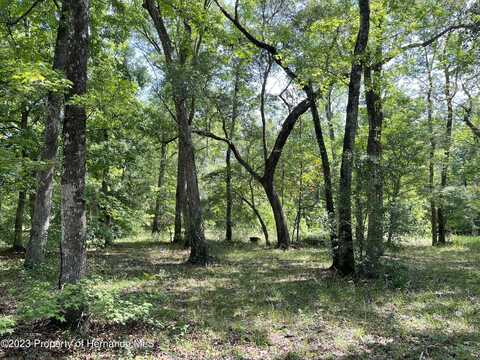 Joy, BROOKSVILLE, FL 34601