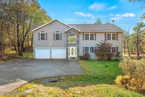 Clover, LONG POND, PA 18334