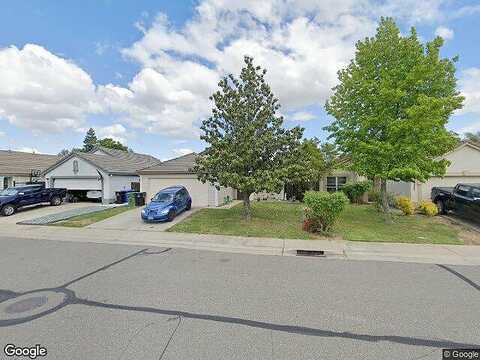 Black Kite, ELK GROVE, CA 95624