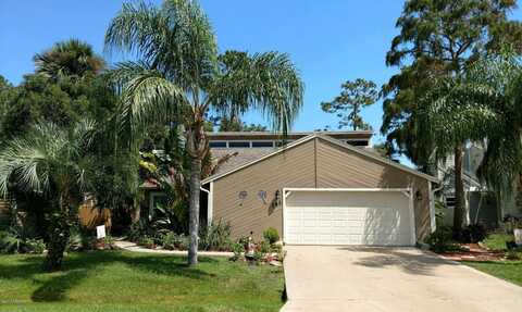 Gull, DAYTONA BEACH, FL 32119