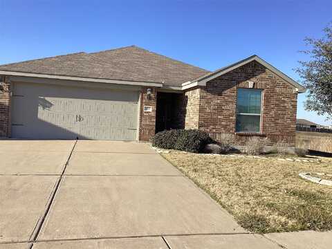 Alamo, VENUS, TX 76084