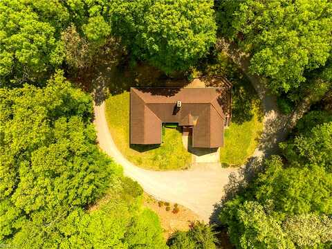 Tribe, ASHLAND, VA 23005