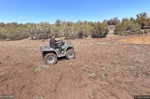 W Spotted Colt Rd, Seligman, AZ 86337