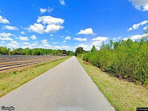S Old Olar Rd, Denmark, SC 29042