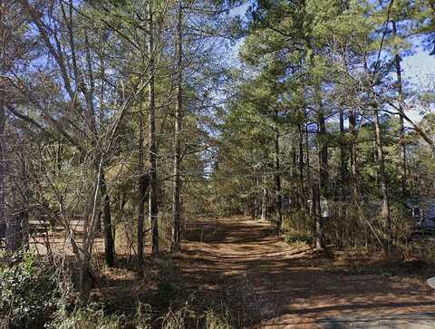 S Old Olar Rd, Denmark, SC 29042