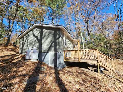 Butternut, DINGMANS FERRY, PA 18328