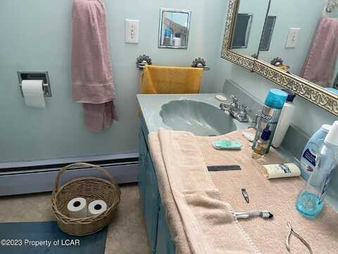 Sycamore, KINGSTON, PA 18704