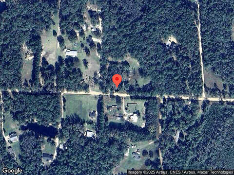Seed Tick, ELLABELL, GA 31308