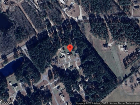 Camelia, STATESBORO, GA 30461