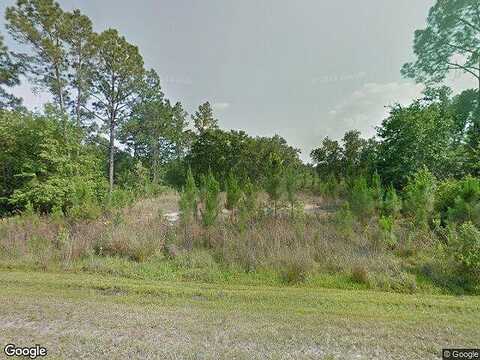 Sparrow, KISSIMMEE, FL 34759