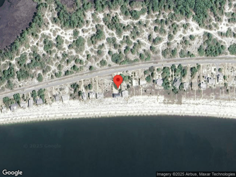 Alligator, PANACEA, FL 32346