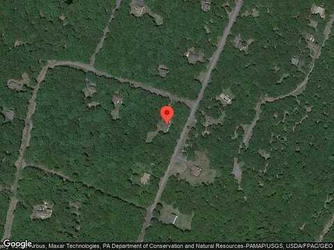Cardinal, BUSHKILL, PA 18324