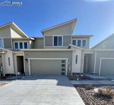 Alyssum, COLORADO SPRINGS, CO 80924