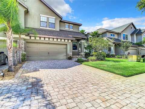 Wandering, WESLEY CHAPEL, FL 33544