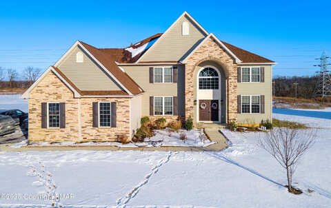 Saddle, EASTON, PA 18045