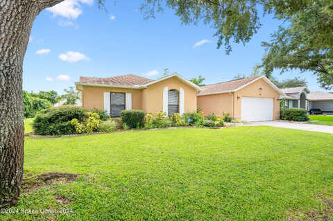 Tangle, TITUSVILLE, FL 32796