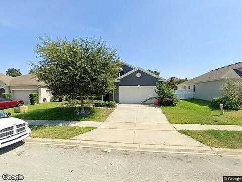 Zander, GRAND ISLAND, FL 32735