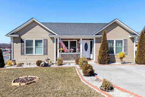 Dylan, BRIDGEWATER, VA 22812