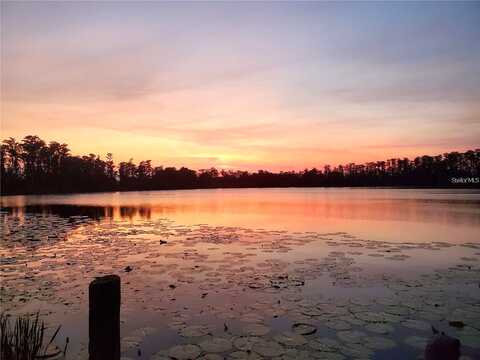 Arrowhead, WINTER GARDEN, FL 34787