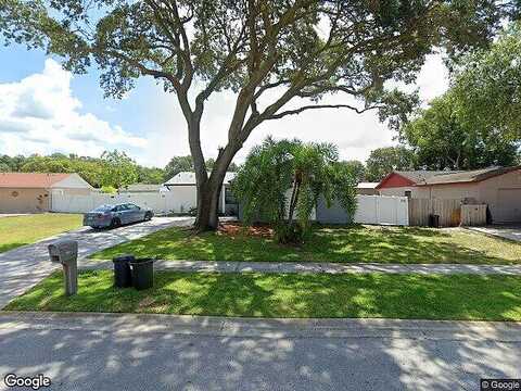 Bridgeport, TAMPA, FL 33625