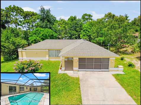 Tune, SPRING HILL, FL 34609