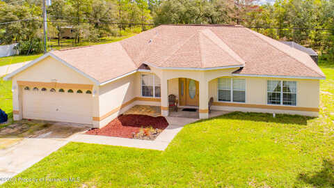 Maripoe, WEEKI WACHEE, FL 34614