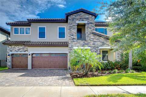 Hawks Fern, RIVERVIEW, FL 33569