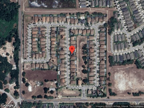 Hawks Fern, RIVERVIEW, FL 33569