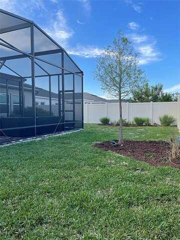 Marlberry, CLERMONT, FL 34714