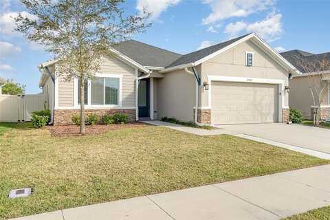 Marlberry, CLERMONT, FL 34714