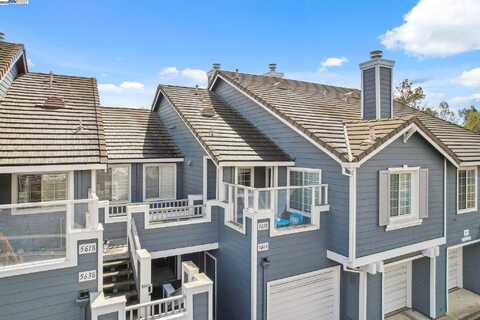 Statice, FREMONT, CA 94538