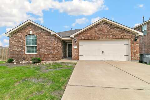 Bald Cypress, FORNEY, TX 75126