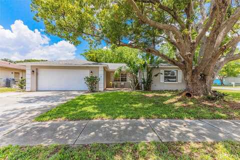 Player, MELBOURNE, FL 32935