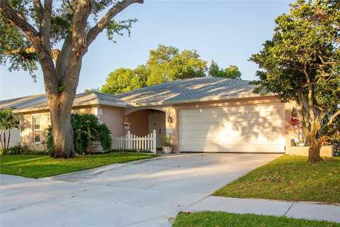 Elderberry, PORT RICHEY, FL 34668