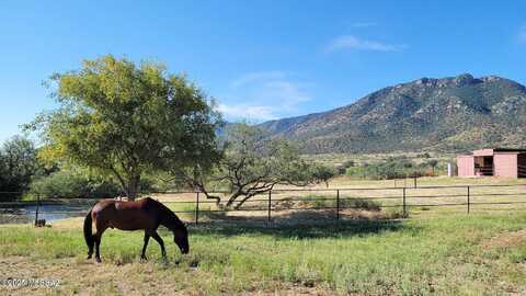 Middlemarch, PEARCE, AZ 85625